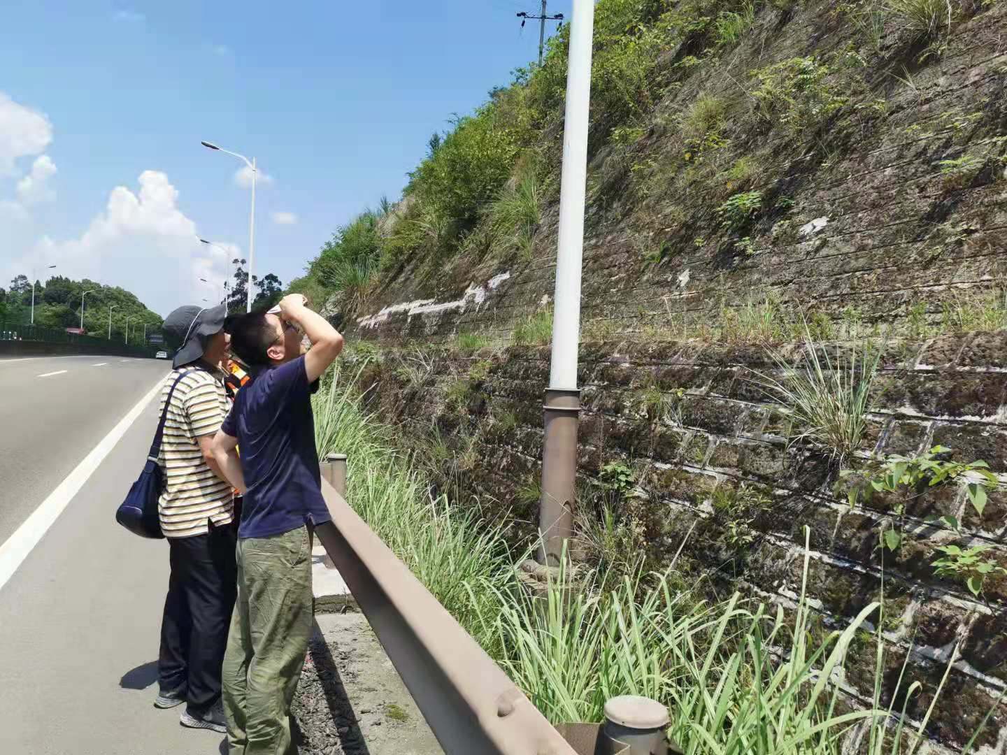 公司养护工程部邀请专家勘察成渝高速公路病害边坡