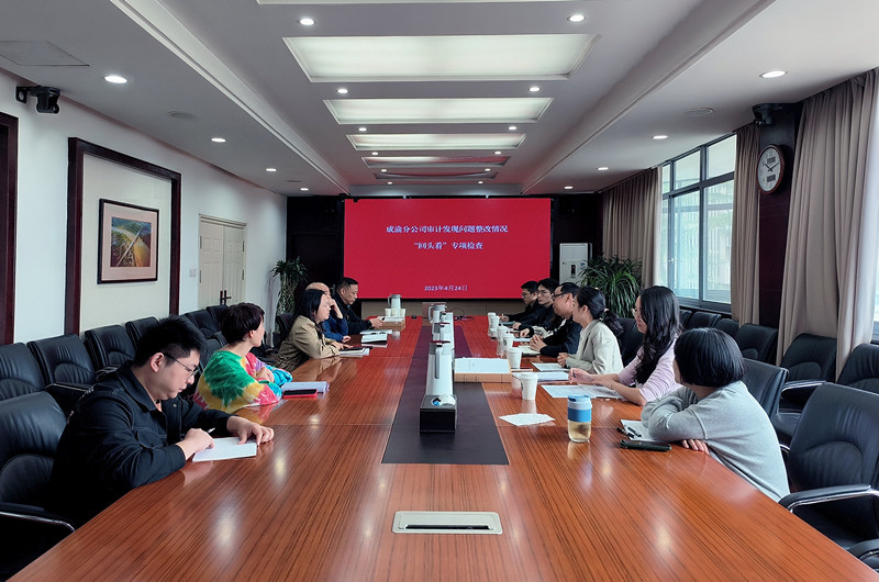 成渝公司到成渝分公司开展审计整改“回头看”专项检查 成渝公司到成渝分公司开展审计整改“回头看”专项检查